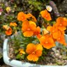 Фото профиля asa🧸🌷