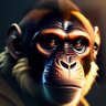 Théorème du singe profil fotoğrafı