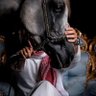 Фото профиля عبدالرحمن