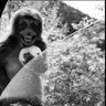 ZYLwwaann profil fotoğrafı