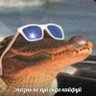 Profilbild von Eban Boban