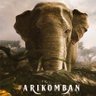 அரிக்கொம்பன் 🐘🃏🦣 的头像