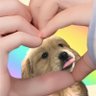 DoubleP 〰️ ♡ྀི 的头像