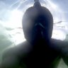 Profilbild von Pronoia