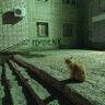 ✗ 𝟜⨷𝟜 的头像