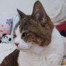 はぁなと 的头像