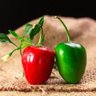 Profilbild von chili 🇩🇪 🇬🇷 🕊️