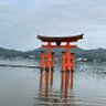 まいける profil fotoğrafı