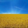 Фото профиля Фожиз
