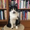 Profilbild von Mi pequeña biblioteca