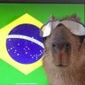 "BRASIL ACIMA DE TUDO E DEUS ACIMA DE TODOS."'s profile picture