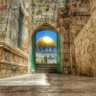 اصحاب الوفاء profil fotoğrafı