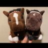 とむがめら 的头像