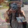 Profilbild von Miiiiiik