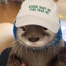 You Otter Know 的头像