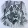 Фото профиля Zer0 Network