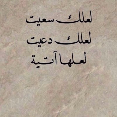 1AboEslam's profile picture