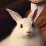 Taissia Kremenetskay's profile picture