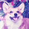 Фото профиля まくのうち
