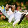 Natuer & Humen l♡ver profil fotoğrafı