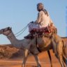 الخبير الأستراتيجي عثمان بديري's profile picture