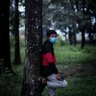 Фото профиля Andika Setiawan