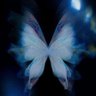 Profilbild von .