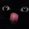 Profilbild von A taille zouk