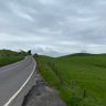 Фото профиля CheshireLanes