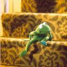 Profilbild von Richard