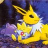Jolteon* profil fotoğrafı