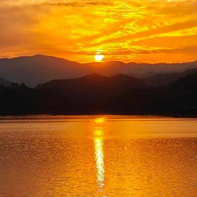 CD2023's profile picture