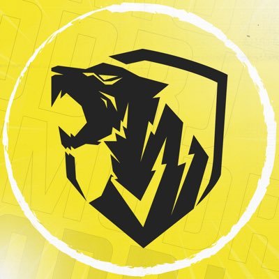 المدرج الذهبي - Almodrj's profile picture
