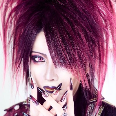 KISAKI_OFFICIAL's profile picture