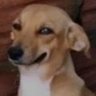 Profilbild von Just