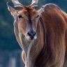 Gwenzi's profile picture