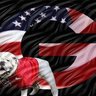 Фото профиля BRJim 🇺🇸🔴⚫️🇺🇸