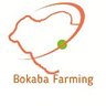 Tumelo's profile picture