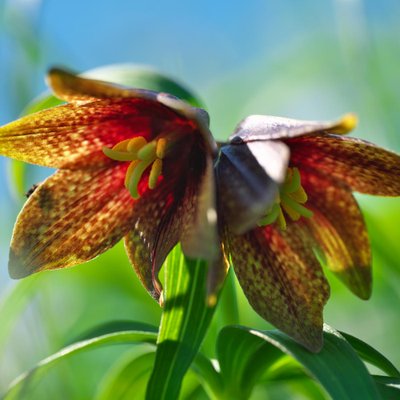 キャノンで〜る's profile picture