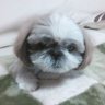 Profilbild von ピパ