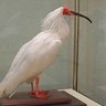 |と.き| profil fotoğrafı