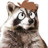 Profilbild von Raccoon guy