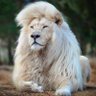 Biter profil fotoğrafı