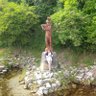 Ella Dowling's profile picture