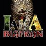 Ulo Ogbonna's profile picture
