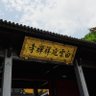 独立交易员's profile picture