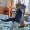 Doly 的头像
