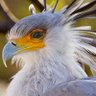 باروخ profil fotoğrafı