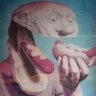 Profilbild von Dan