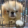 San _Juro profil fotoğrafı